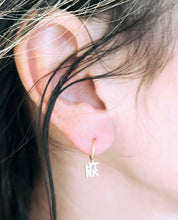 Load image into Gallery viewer, HTRK Logo sleeper earring